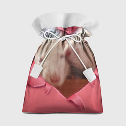 Мешок для подарков Крысиная любовь, цвет: 3D-принт