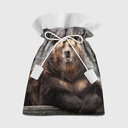 Мешок для подарков Русский медведь, цвет: 3D-принт