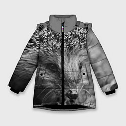 Куртка зимняя для девочки Взгляд ёжика, цвет: 3D-черный