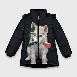 Куртка зимняя для девочки Щенок в подарок, цвет: 3D-черный