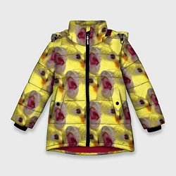 Куртка зимняя для девочки Попугай Корелла Орёт Мем, цвет: 3D-красный