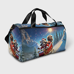 Сумки спортивные Енот на санях, цвет: 3D-принт