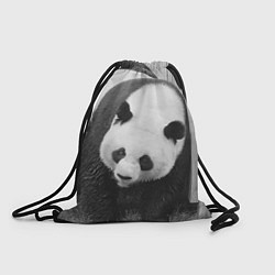 Рюкзак-мешок Большая панда, цвет: 3D-принт