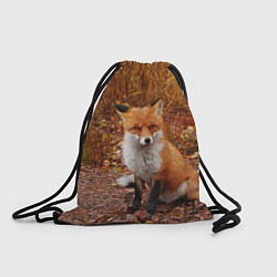 Рюкзак-мешок Осенняя лиса, цвет: 3D-принт
