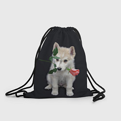Рюкзак-мешок Щенок в подарок, цвет: 3D-принт