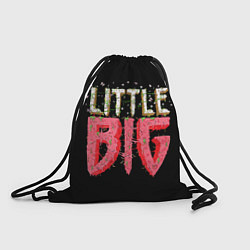 Мешок для обуви Little Big