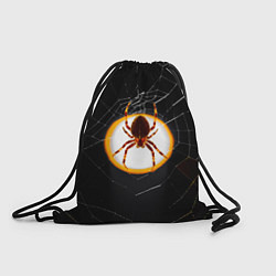 Мешок для обуви Spider