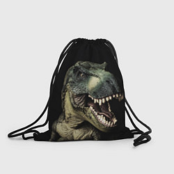 Рюкзак-мешок Динозавр T-Rex, цвет: 3D-принт