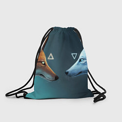 Рюкзак-мешок ЛИСА И ВОЛК D, цвет: 3D-принт