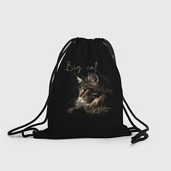 Рюкзак-мешок Big cat Maine Coon, цвет: 3D-принт
