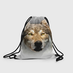 Рюкзак-мешок Волк: зима, цвет: 3D-принт