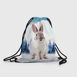 Рюкзак-мешок Кролик в зимнем лесу, цвет: 3D-принт