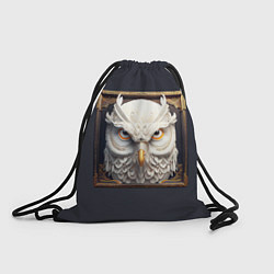 Рюкзак-мешок Белая сова - барельеф в раме, цвет: 3D-принт
