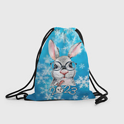 Рюкзак-мешок Кролик в очках 2023, цвет: 3D-принт