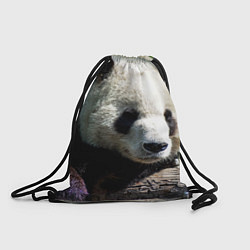 Рюкзак-мешок Пандa, цвет: 3D-принт