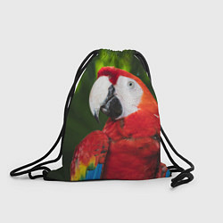 Рюкзак-мешок Красный попугай Ара, цвет: 3D-принт