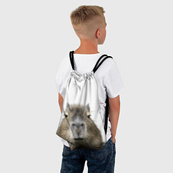 Рюкзак-мешок Капибара пофигист, цвет: 3D-принт — фото 2
