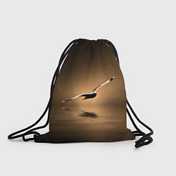 Мешок для обуви Летящая птица