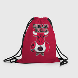 Мешок для обуви Chicago bulls