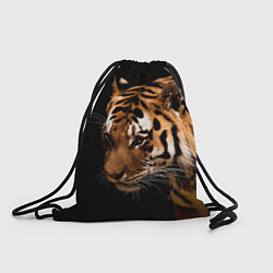 Рюкзак-мешок Тигрица, цвет: 3D-принт