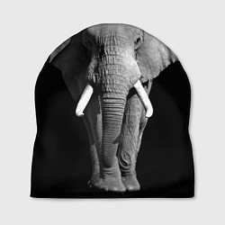 Шапка Старый слон, цвет: 3D-принт
