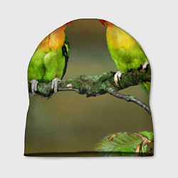 Шапка Два попугая, цвет: 3D-принт