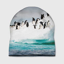 Шапка Пингвины на айсберге