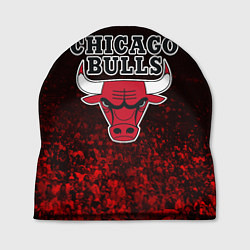 Шапка CHICAGO BULLS