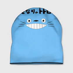 Шапка Totoro