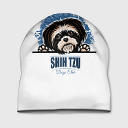 Шапка Ши-Тцу Shih-Tzu