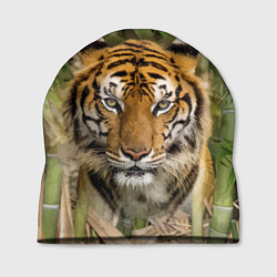 Шапка Матёрый тигр в зарослях бамбука, цвет: 3D-принт