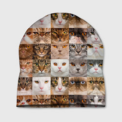 Шапка Pedigreed cats, цвет: 3D-принт