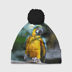 Шапка с помпоном Красавец попугай, цвет: 3D-черный