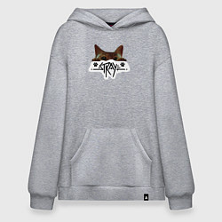 Худи оверсайз Stray: Кот