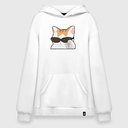 Худи оверсайз Бело-рыжий котик в очках