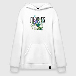 Толстовка-худи оверсайз Колибри и бабочки, цвет: белый