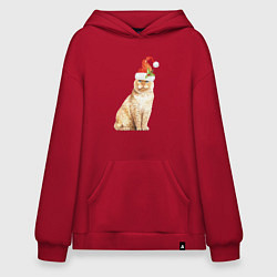 Толстовка-худи оверсайз Рыжий пушистый кот, цвет: красный