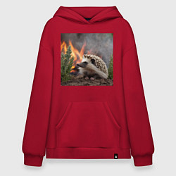 Худи оверсайз Ёжик в огне
