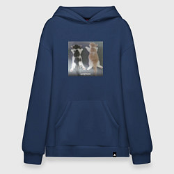 Толстовка-худи оверсайз Мемные коты умерчики, цвет: тёмно-синий