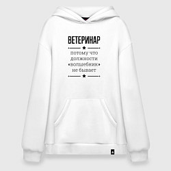 Худи оверсайз Ветеринар должность волшебник