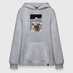 Толстовка-худи оверсайз Курица селфи на луне, цвет: меланж