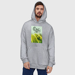 Толстовка-худи оверсайз Символ 2025 года зеленая змея и надпись: с новым г, цвет: меланж — фото 2