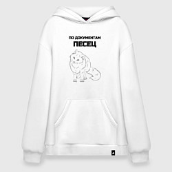Худи оверсайз По документам песец