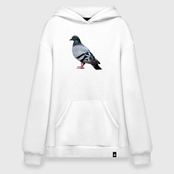 Толстовка-худи оверсайз Голубь сизый, цвет: белый