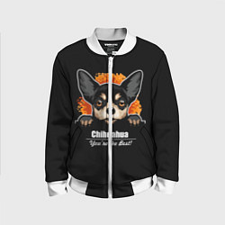 Детский бомбер Чихуахуа Chihuahua