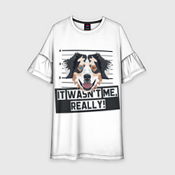 Детское платье Австралийская Овчарка Australian Shepherd