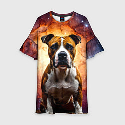 Платье клеш для девочки Американский стаффордширский терьер в космосе, цвет: 3D-принт