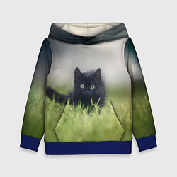 Толстовка-худи детская Черный кот на лугу, цвет: 3D-синий