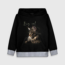 Толстовка-худи детская Big cat Maine Coon, цвет: 3D-меланж