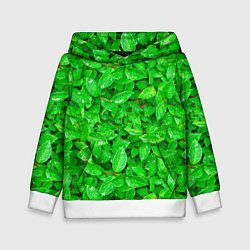 Детская толстовка Зелёные листья - текстура